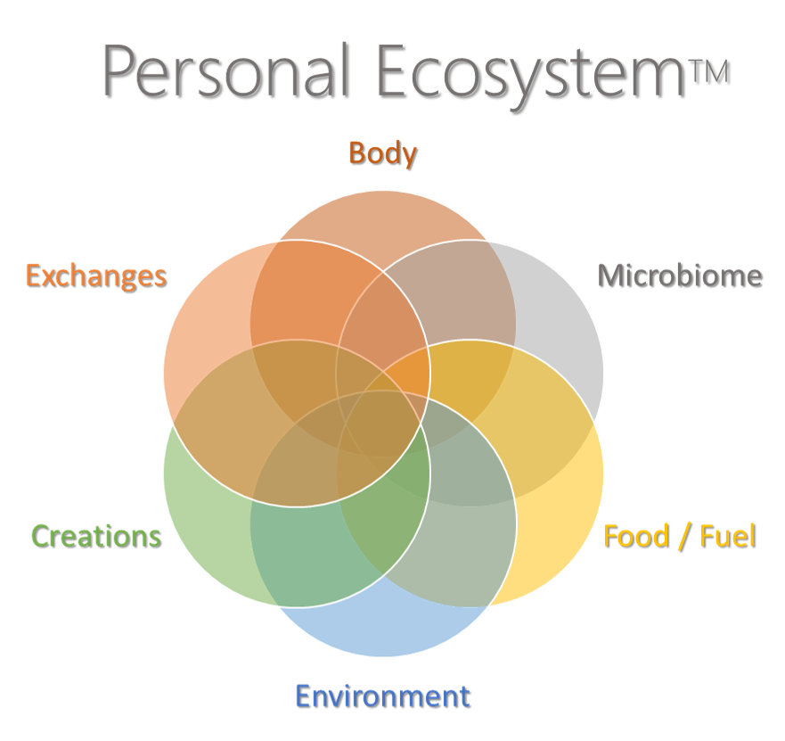 Personal Ecosystem - Venn Diagram
