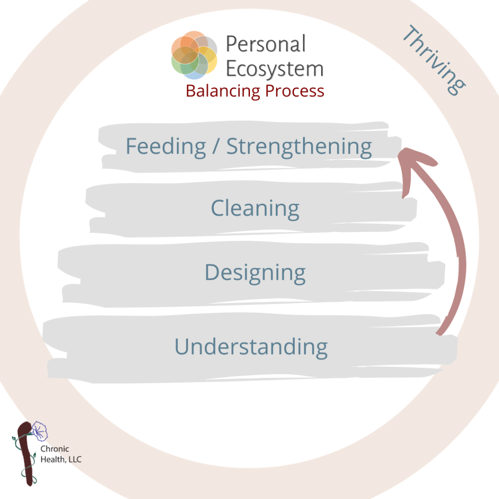 Personal Ecosystem Balancing Process