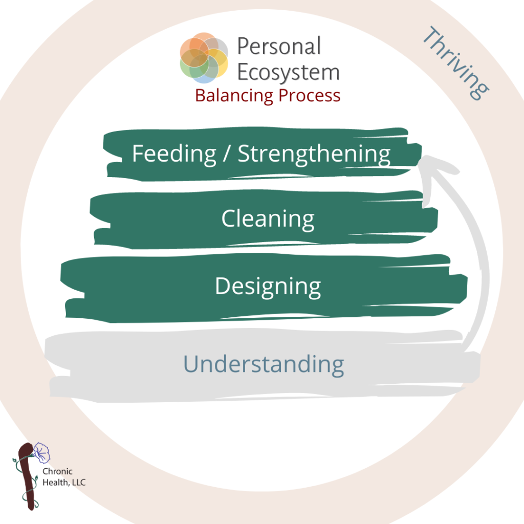 Balancing Process: Phases 2-4
